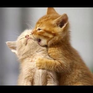 Meet your Posher, Kero